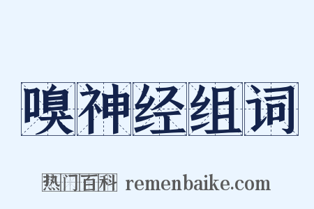 嗅神经组词是什么意思的图片